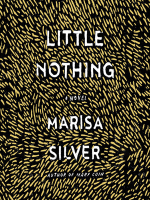 cover image of Little Nothing